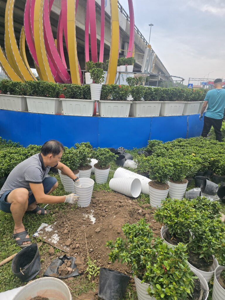 Thiết kế và trồng cây xanh tại Vực Vòng - Thị Xã Duy Tiên