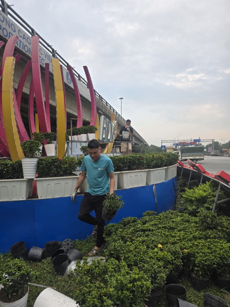 Thiết kế và trồng cây xanh tại Vực Vòng - Thị Xã Duy Tiên