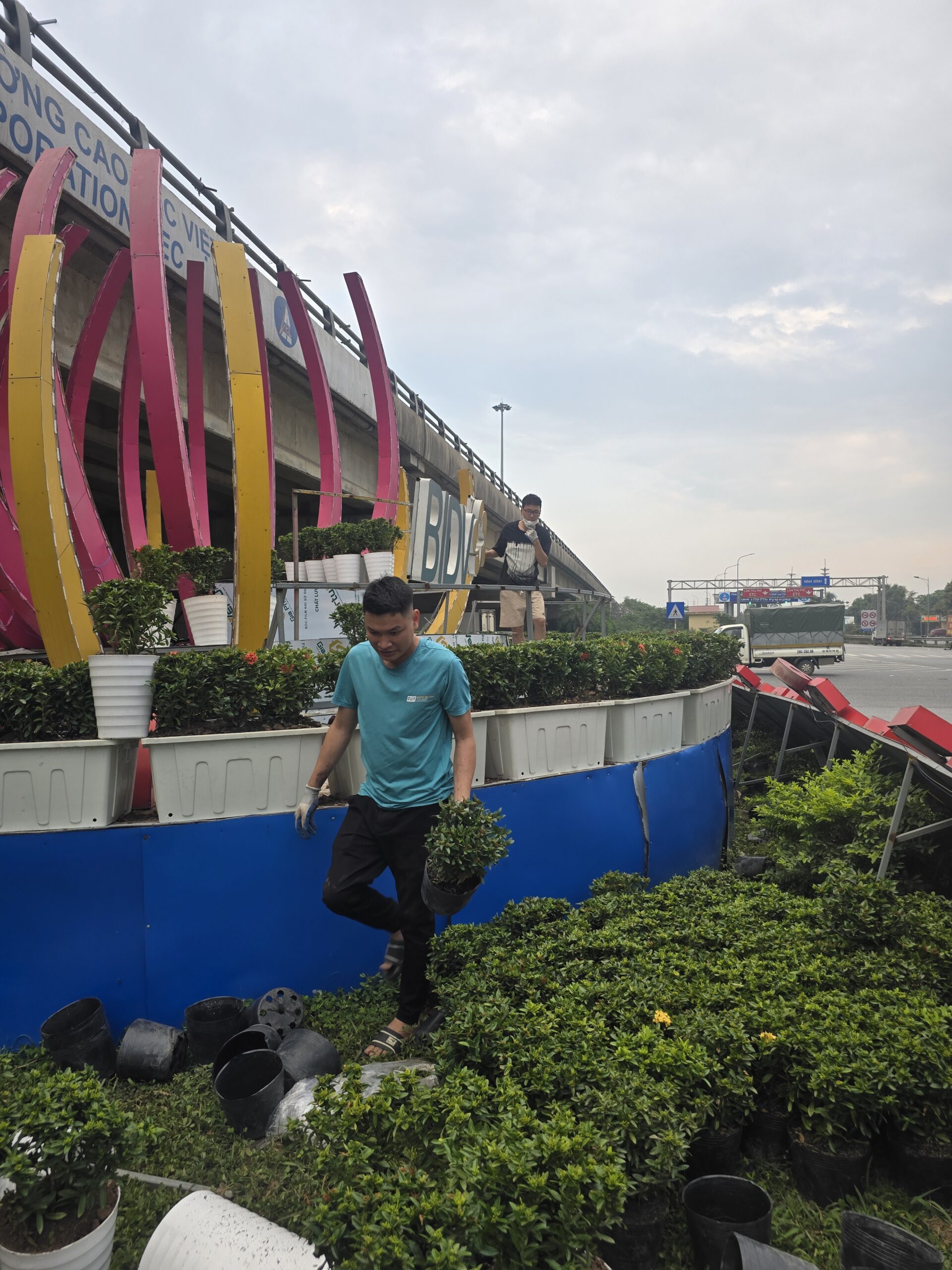 Thiết kế và trồng cây xanh tại Vực Vòng - Thị Xã Duy Tiên