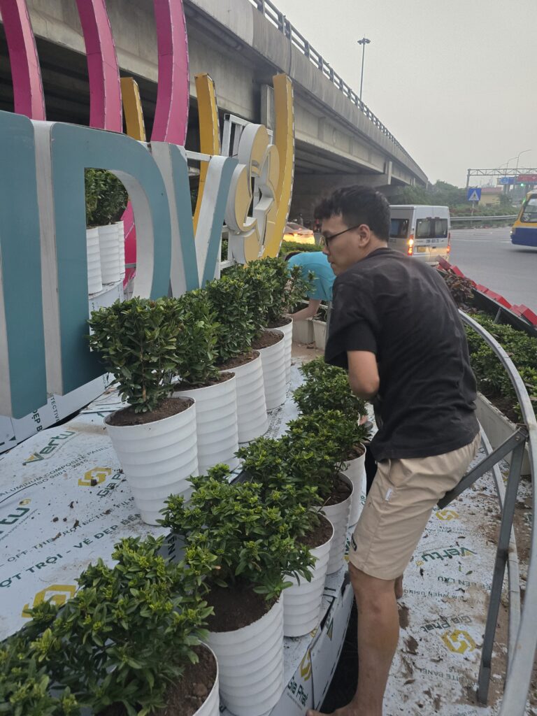 Thiết kế và trồng cây xanh tại Vực Vòng - Thị Xã Duy Tiên
