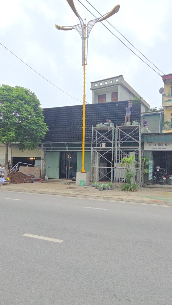 Thi công tường cây xanh tại Phủ Lý - Hà Nam