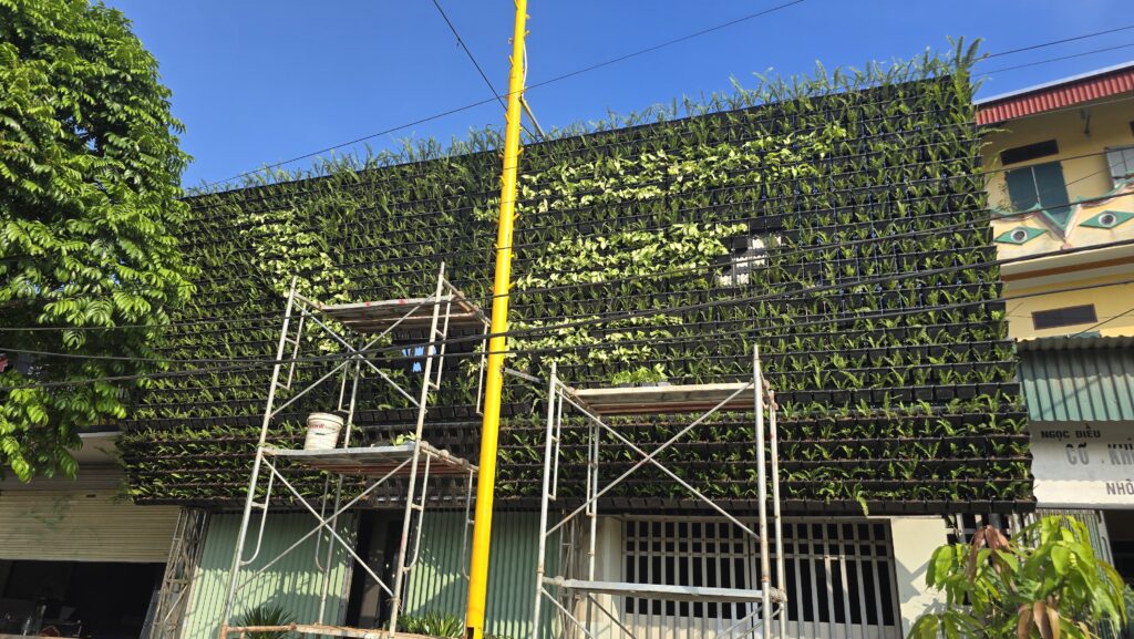 Thi công tường cây xanh tại Phủ Lý - Hà Nam