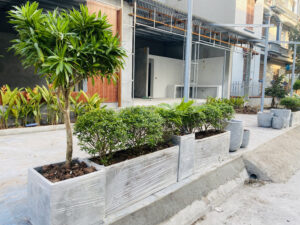 Thiết kế cây xanh vỉa hè tạo không gian thoáng mát.