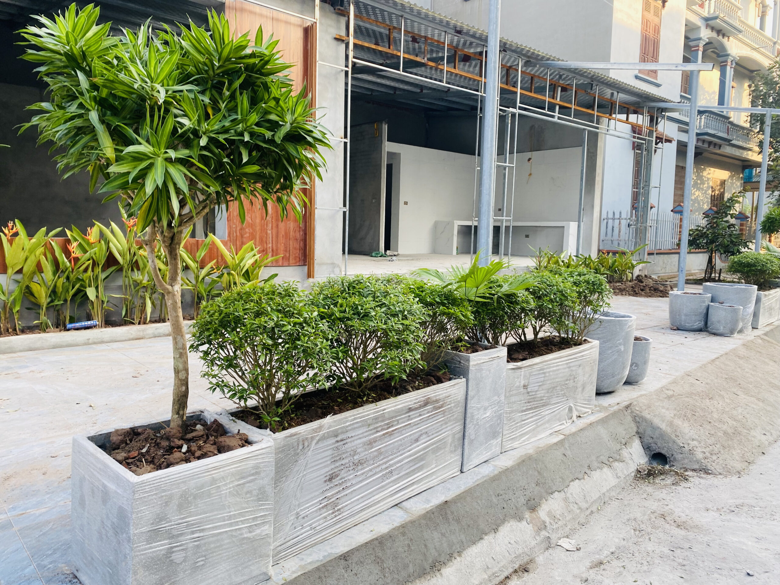 Thiết kế cây xanh vỉa hè tạo không gian thoáng mát.