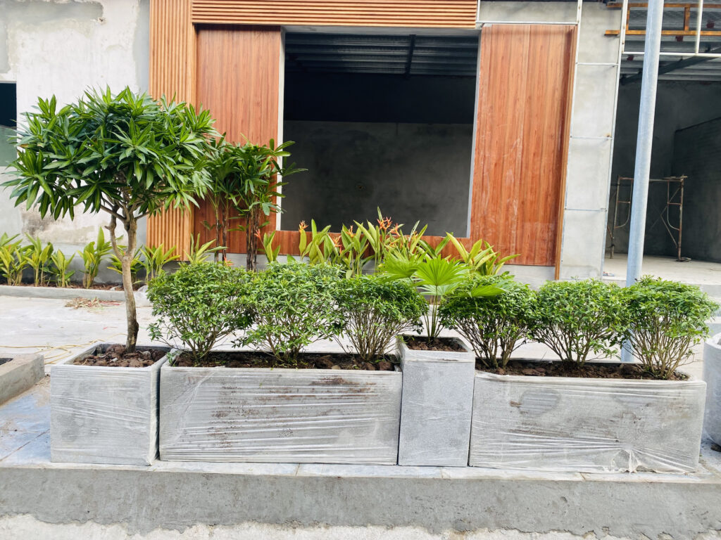 Thiết kế cây xanh vỉa hè tạo không gian thoáng mát.