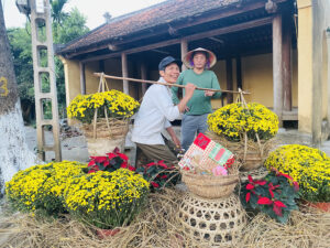 Thiết kế cảnh quan Tết 2025